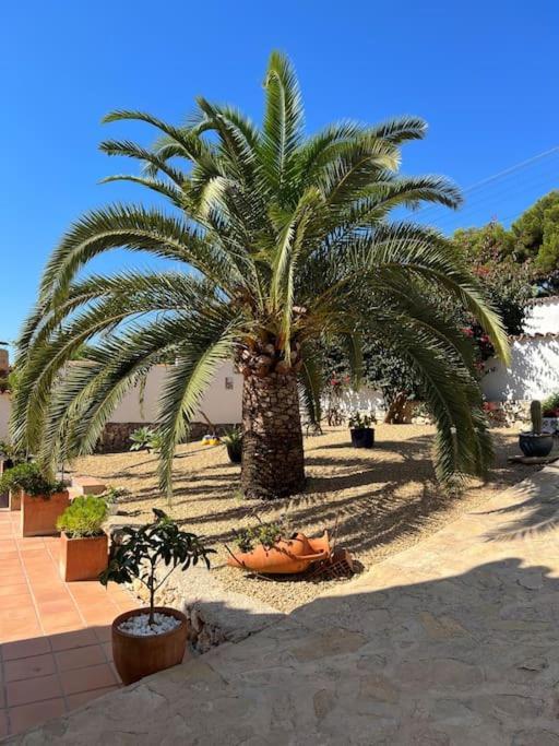 Casa Serenita Charming Villa With Swimming Pool Jávea Exteriér fotografie